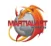 Martial Art World